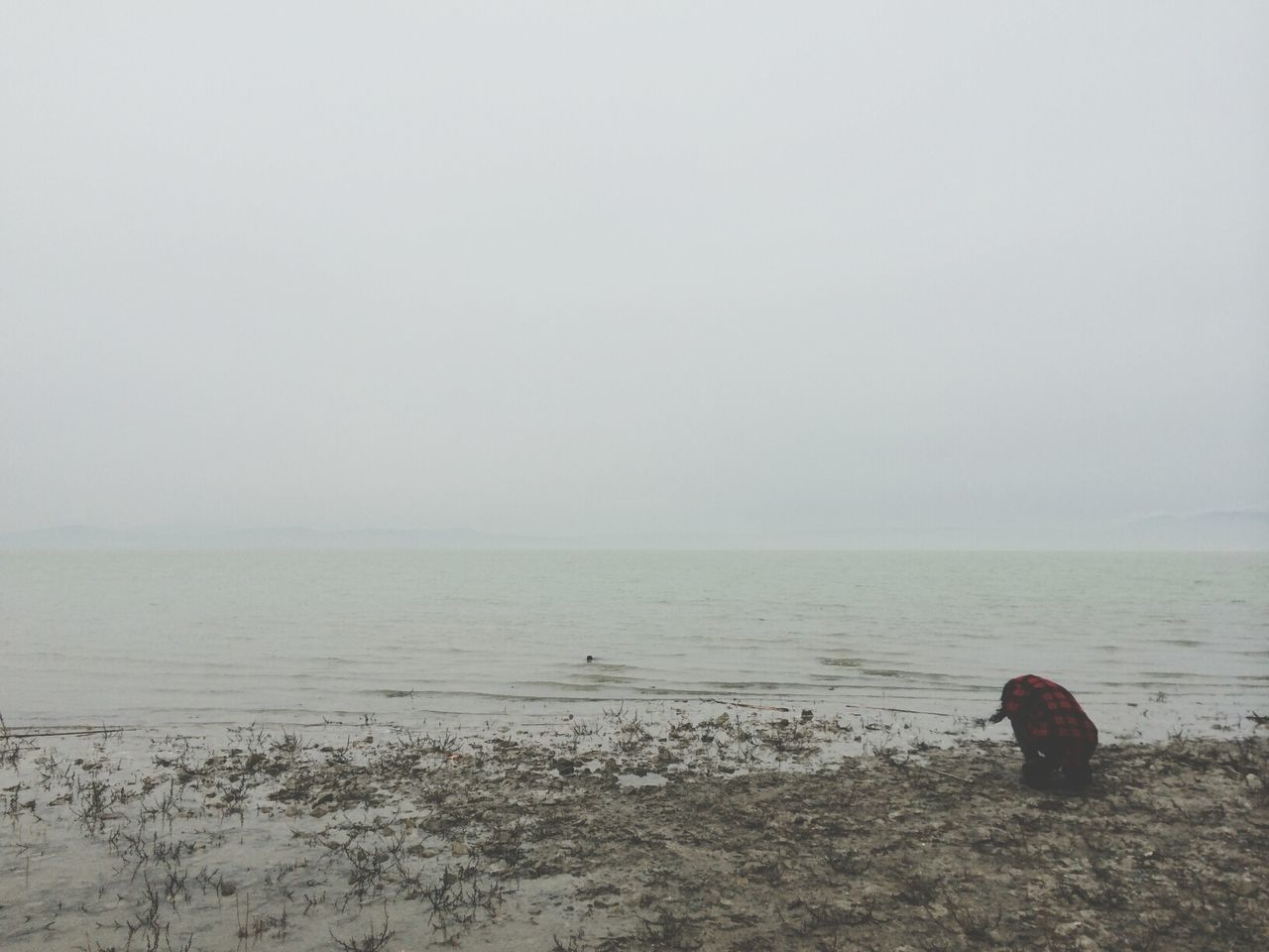 water, sea, horizon over water, tranquil scene, copy space, tranquility, beach, clear sky, scenics, shore, beauty in nature, nature, idyllic, sand, remote, sky, calm, day, outdoors, non-urban scene