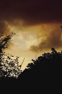 Low angle view of silhouette trees against sky at sunset