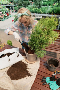 High angle view of woman picking vegetables for sale