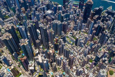 High angle view of trees and buildings in city