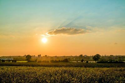 Scenic view of field against sky during sunset