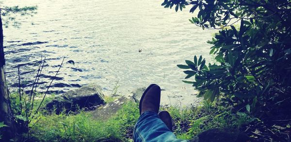 Low section of person relaxing by plants