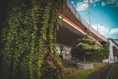 Low angle view of trees and building against sky