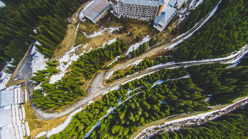 High angle view of trees by road in city