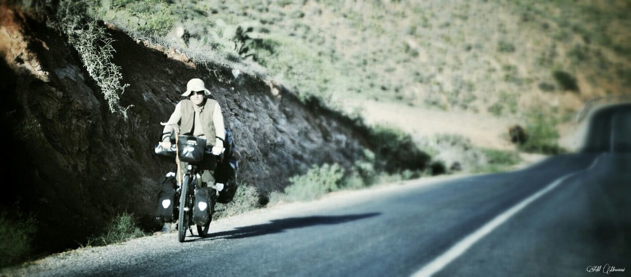 REAR VIEW OF MAN RIDING BICYCLE ON ROAD AMIDST TREES