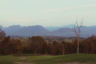 Scenic view of landscape against sky