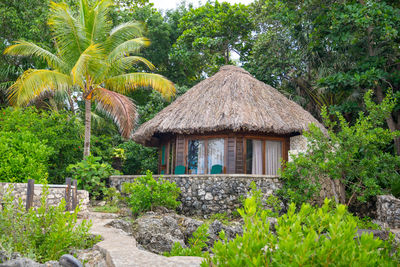 Beautiful caribbean thatched house on a cliff 