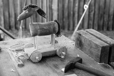 Close-up of bird on wood