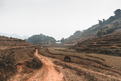 Dirt road passing through landscape