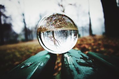 Close-up of crystal ball on glass