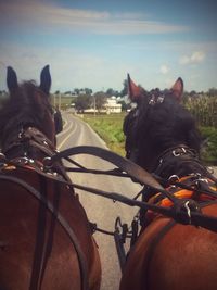 Close-up of horse riding motorcycle against sky