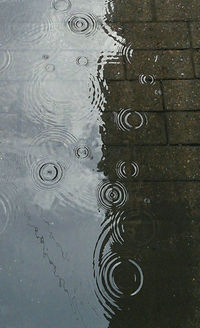 High angle view of raindrops on puddle