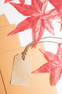 Close-up of paper tied up