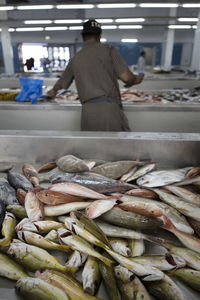 Rear view of man selling fish