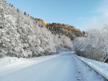 Snow covered road by trees against sky