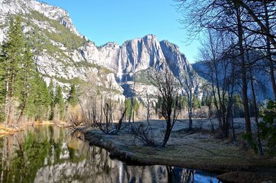 Reflection of trees in lake