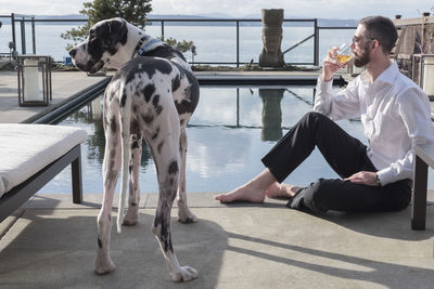 Man drinking drink with dog by swimming pool