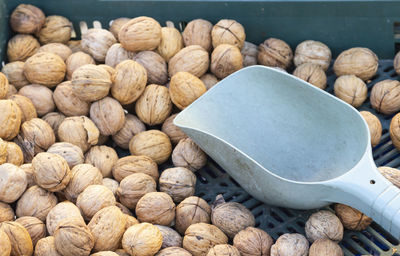 High angle view of onions for sale at market