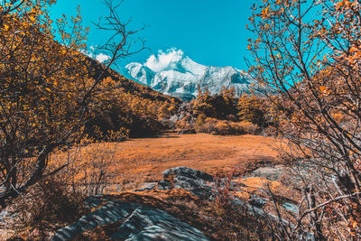 Scenic view of forest against sky during autumn