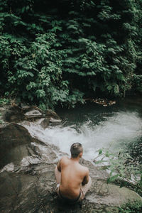 Rear view of shirtless man in forest