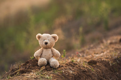 Close-up of stuffed toy on field