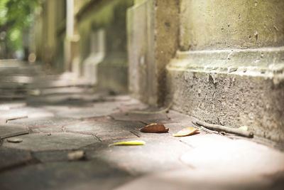 Surface level of messy street