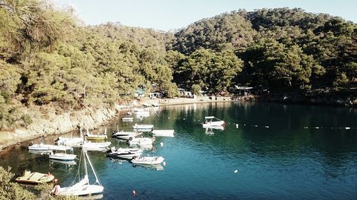 High angle view of sailboats moored in lake