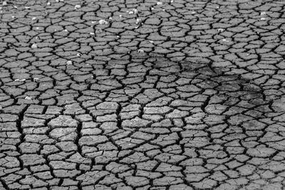 Full frame shot of cracked land