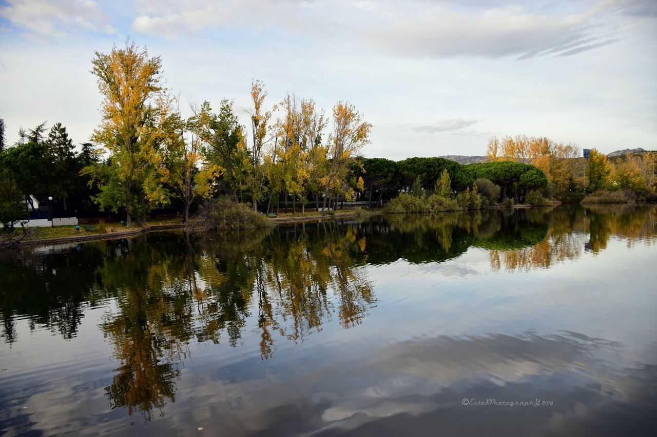 reflection, tree, water, lake, sky, tranquility, tranquil scene, waterfront, scenics, beauty in nature, nature, cloud - sky, cloud, growth, standing water, calm, idyllic, day, outdoors, river