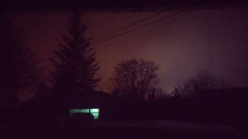 Silhouette of bare trees against sky at night