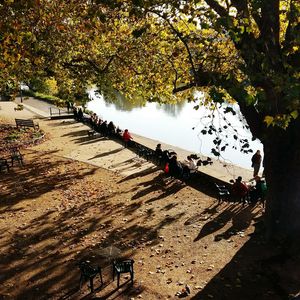 People by trees against sky