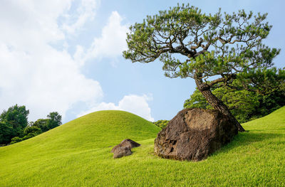 Garden is a spacious, japanese style landscape garden