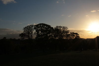 Silhouette trees against sky during sunset