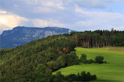 Trees on countryside landscape against mountain range