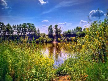 Scenic view of lake against sky