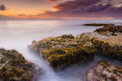 Mossy rocks at beach against cloudy sky during sunset