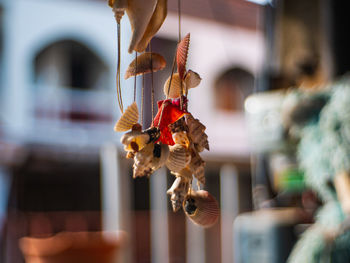 Home decoration hanging made of shells.