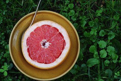 Close-up of grapefruit in bowl