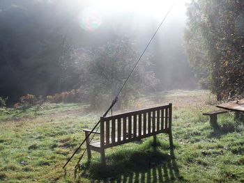 Scenic view of forest