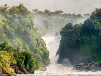 Scenic view of waterfall