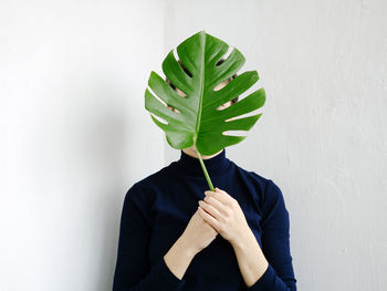 Midsection of person holding leaf against white background