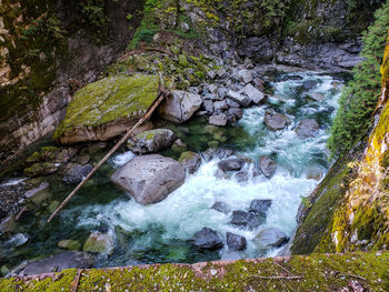 Scenic view of waterfall in forest