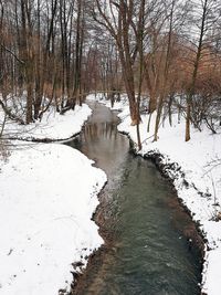 Snow covered bare trees by snowcapped mountain