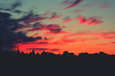 Silhouette of trees at sunset