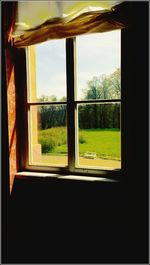 Trees seen through window