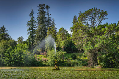 Fountain in the pond covered in water lilies, powerscourt gardens, ireland