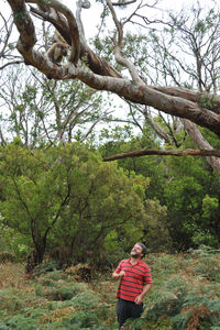 Full length portrait of woman standing by tree in forest