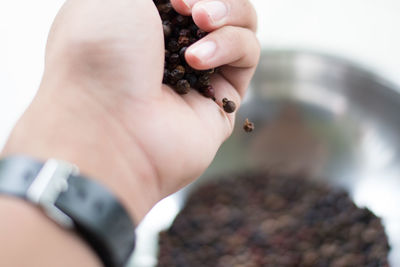 Close-up of human hand holding leaf