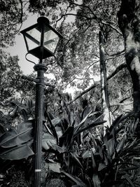 Low angle view of street light against sky