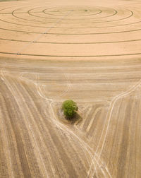 Tire tracks on agricultural field